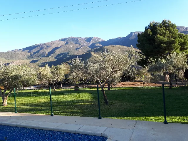ALOJAMIENTO LOS OLIVOS en ÓRGIVA — miniatura 7