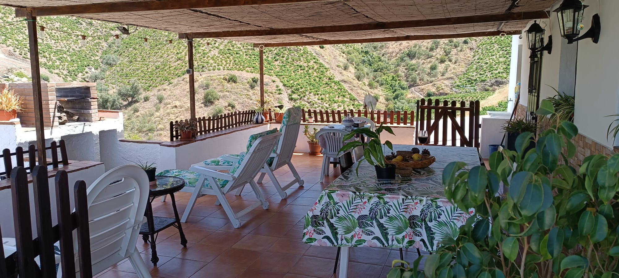 FINCA LA PALMA en EL BORGE — foto principal