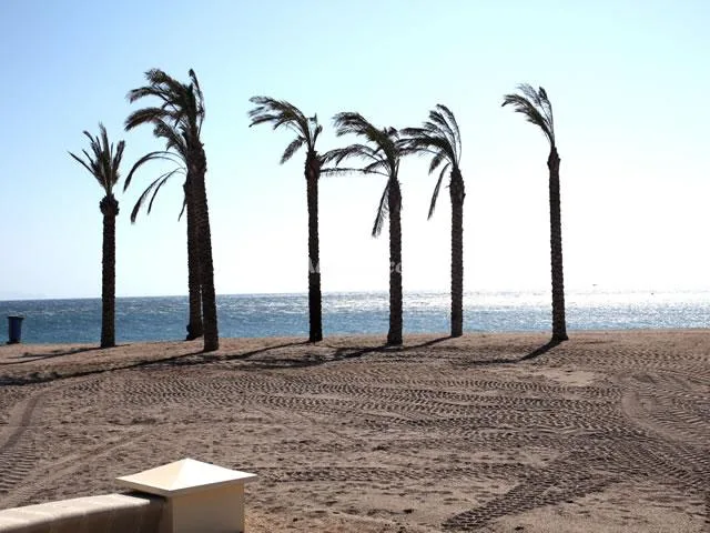 PISO LAS SALINAS 4º J en ROQUETAS DE MAR — miniatura 6