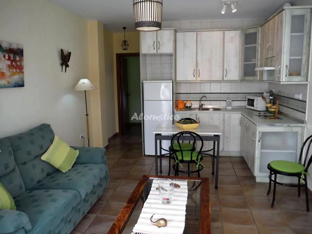 APARTAMENTO MEDIALUNA en EL POZO DE LOS FRAILES — foto 3