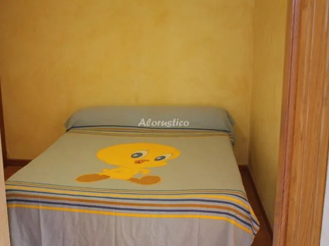 CASA ALICANTE RURAL LA ROMANA en LA ROMANA — miniatura 13