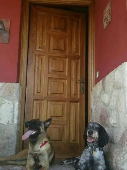 CASA REQUEXU en CABRANES — miniatura 16