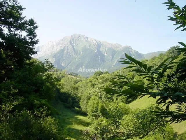 Alojamiento turístico VALLE DE BUEIDA   LA VEGA en QUIROS · ASTURIAS