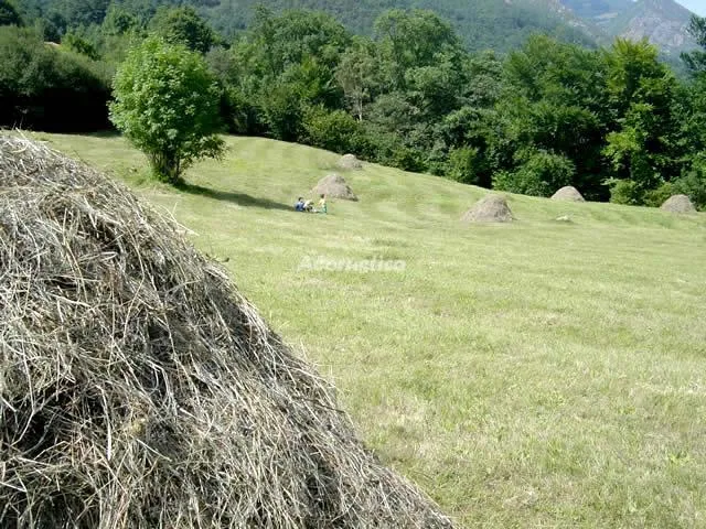 VALLE DE BUEIDA   EL BOSQUE en QUIROS — miniatura 6