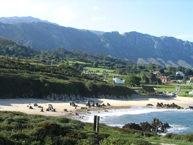 APTOS EL REQUEXU - Nº 4 en LLANES — miniatura 5