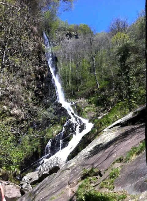APTOS RURALES VEREDAS - APTO EL ALPENDRE en SANTA EULALIA DE OSCOS — miniatura 4