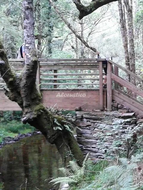 APTOS RURALES VEREDAS - APTO EL ALPENDRE en SANTA EULALIA DE OSCOS — miniatura 13