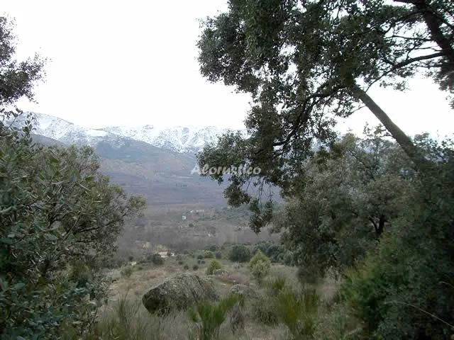 LA PEGUERA DE GREDOS-HABT. DOBLE 1 en BURGOHONDO — miniatura 5
