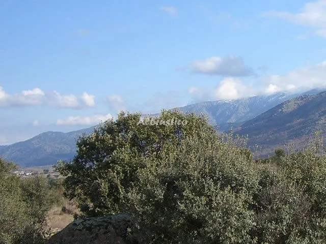 LA PEGUERA DE GREDOS-HABT. DOBLE 1 en BURGOHONDO — miniatura 24