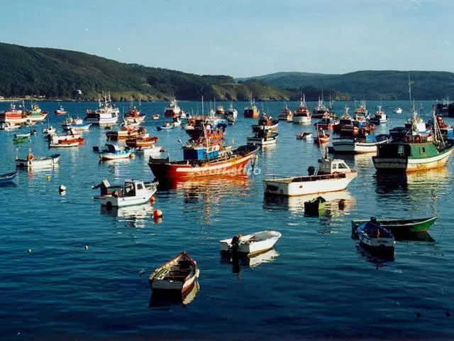 CASITA FINISTERRE en FINISTERRE — miniatura 7