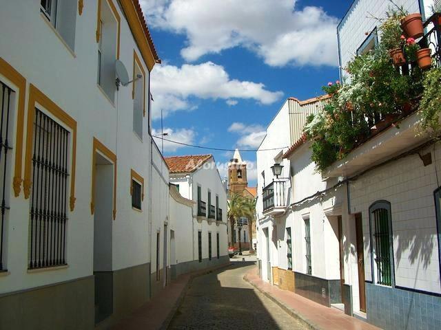 HUERTA LOS CASTAÑOS en MONESTERIO — foto principal