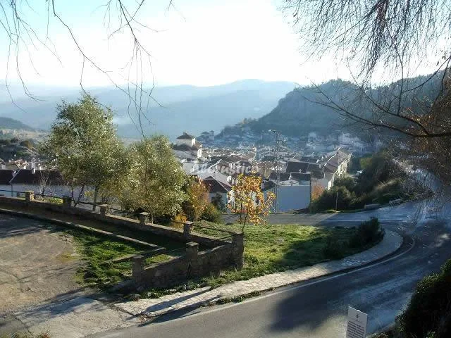 CASA VICTORIA - HORNO en VILLALUENGA DEL ROSARIO — miniatura 5