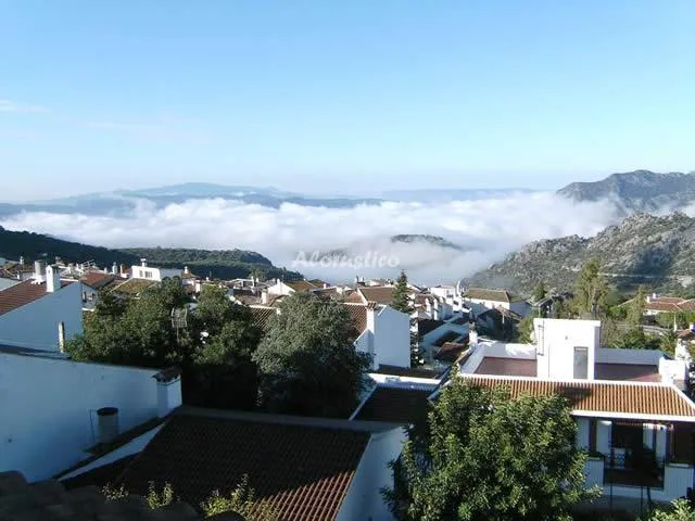 ALOJAMIENTO LOS ALMENDROS 1 en BENAOCAZ — miniatura 6