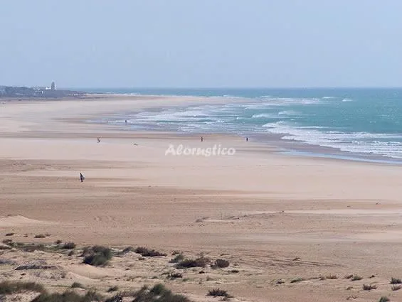 Alojamiento turístico CASA MARIVI (PLANTA BAJA) en CONIL DE LA FRONTERA · CÁDIZ