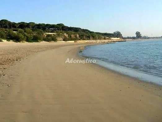 APARTAMENTO LA PUNTILLA en PUERTO DE SANTA MARÍA — miniatura 13