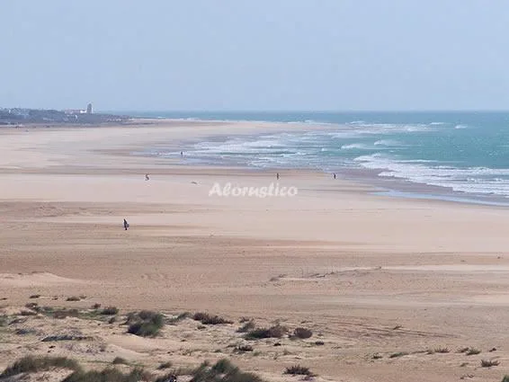 APARTAMENTO P-2 en CONIL DE LA FRONTERA — foto 1 de 9