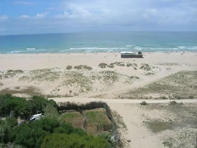ESTUDIO en CONIL DE LA FRONTERA — miniatura 8