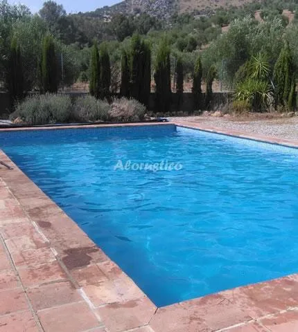 FINCA LA BODEGUILLA en ALGODONALES — miniatura 11