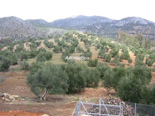 FINCA LA BODEGUILLA en ALGODONALES — foto 2