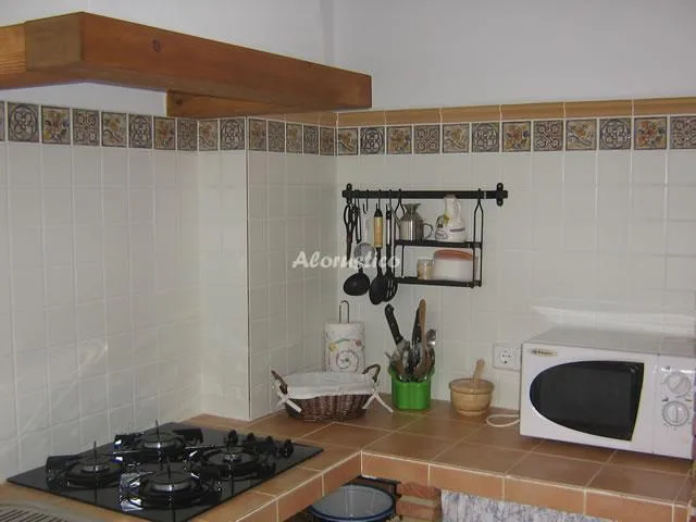 FINCA LA BODEGUILLA en ALGODONALES — miniatura 13