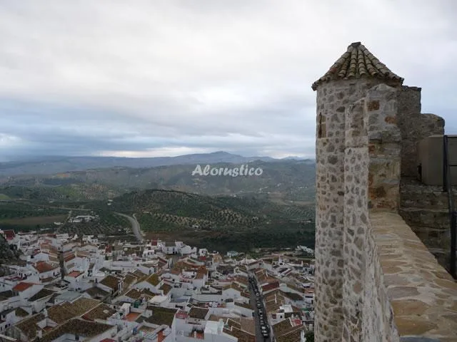 ALOJAMIENTO RURAL EL PRADO en OLVERA — miniatura 21