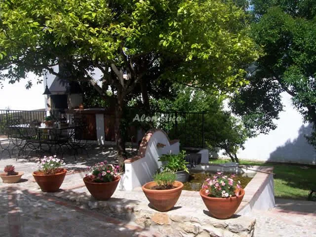 RANCHO TÍO DOMINGO en PRADO DEL REY — miniatura 13