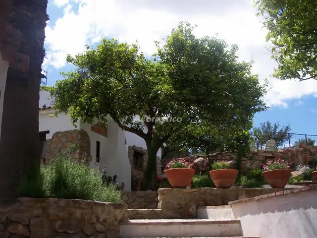 RANCHO TÍO DOMINGO en PRADO DEL REY — miniatura 6