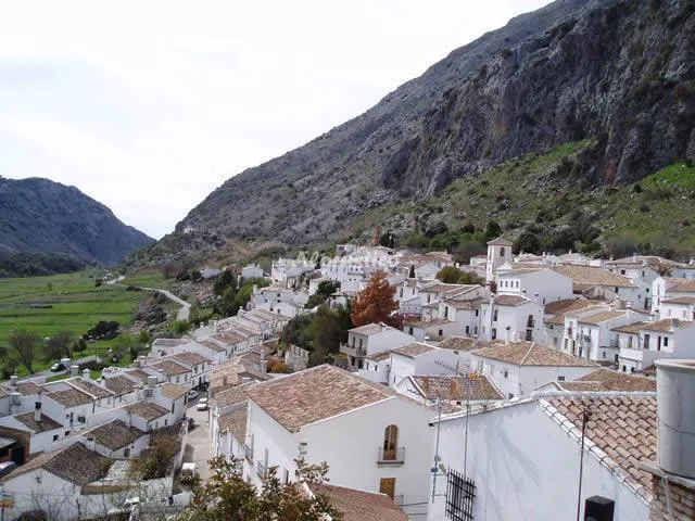 CASA VICTORIA - LA CASA DEL ANAFE en VILLALUENGA DEL ROSARIO — miniatura 4