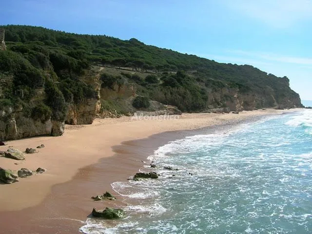 Alojamiento turístico CASA MIGUEL en CAÑOS DE MECA · CÁDIZ