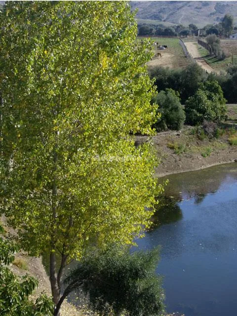 CORTIJO EL MESONERO en JIMENA DE LA FRONTERA — miniatura 22