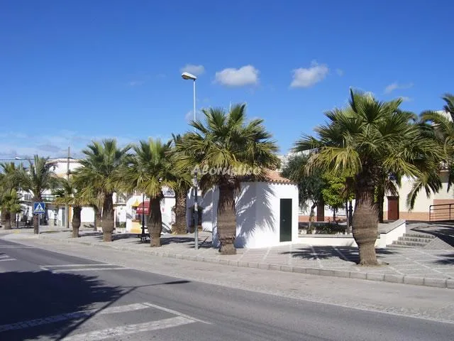 AL - COBBAIN en PATERNA DE RIVERA — miniatura 9