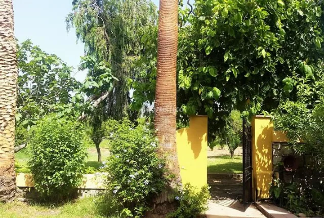 EL CORTIJILLO en SAN PABLO DE BUCEITE — miniatura 8