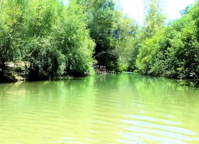 EL CORTIJILLO en SAN PABLO DE BUCEITE — miniatura 9