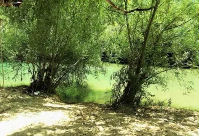 EL CORTIJILLO en SAN PABLO DE BUCEITE — miniatura 18