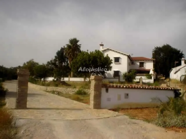 EL CORTIJO DE JUAN en JIMENA DE LA FRONTERA — miniatura 21