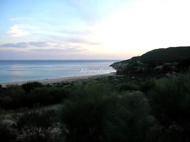 CASA ZARZADILLA en BARBATE — miniatura 11