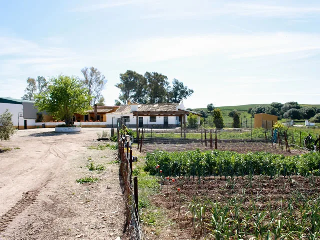 FINCA LAS CABALLERIAS en JEREZ DE LA FRONTERA — miniatura 7