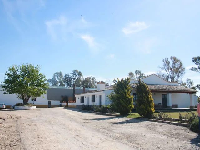 FINCA LAS CABALLERIAS en JEREZ DE LA FRONTERA — miniatura 13