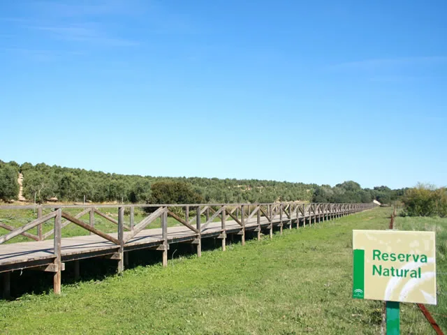 FINCA LAS CABALLERIAS en JEREZ DE LA FRONTERA — miniatura 5