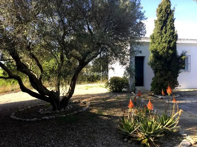 CASA RURAL LOS GARROVILLOS en CONIL DE LA FRONTERA — miniatura 9