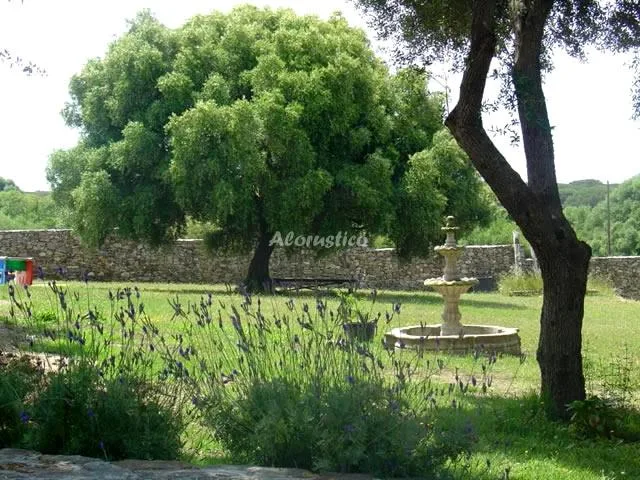 CASA MAXIMON-APTO AZUL (PLANTA ALTA DERECHA) en CAÑOS DE MECA — miniatura 6