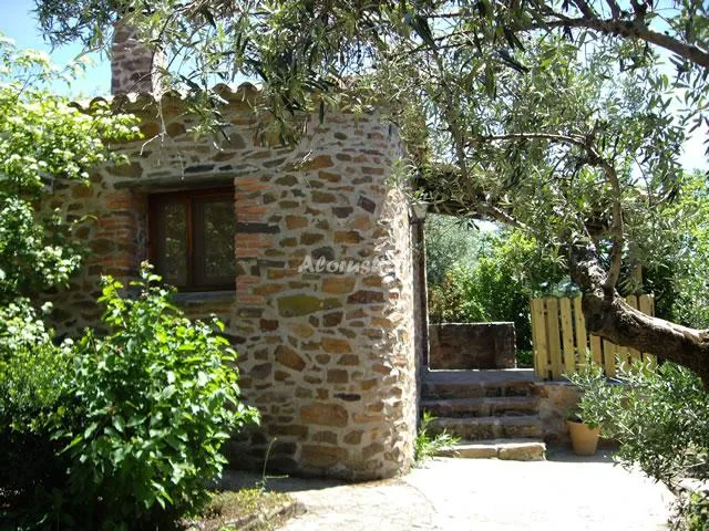 EL JINIEBRO-LA CASITA DEL OLIVO-ESTUDIO en VALENCIA DE ALCÁNTARA — miniatura 10