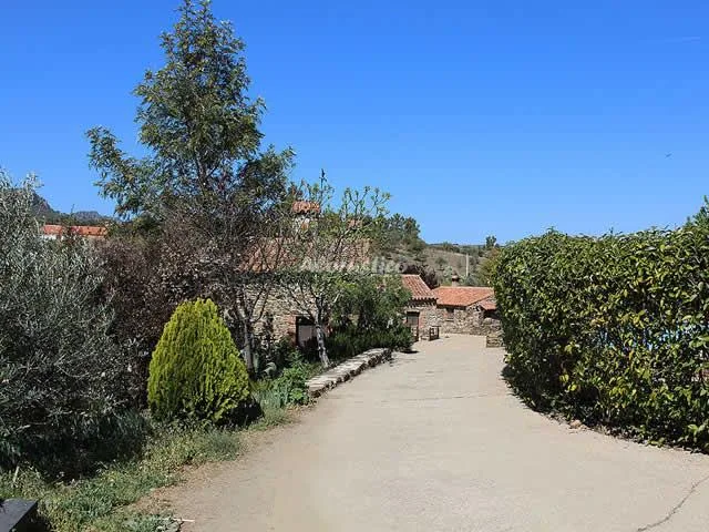 EL JINIEBRO-LA CASITA DEL OLIVO-ESTUDIO en VALENCIA DE ALCÁNTARA — miniatura 9