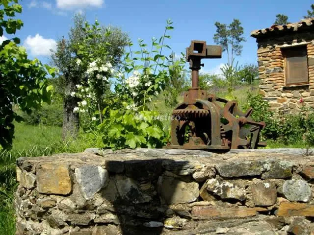 EL JINIEBRO-LA SIERRA en VALENCIA DE ALCÁNTARA — miniatura 11