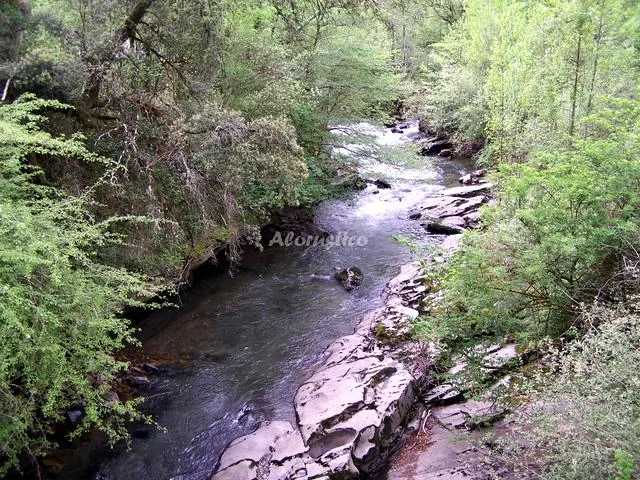 Alojamiento turístico APARTAMENTOS RAMALES en RAMALES DE LA VICTORIA · CANTABRIA
