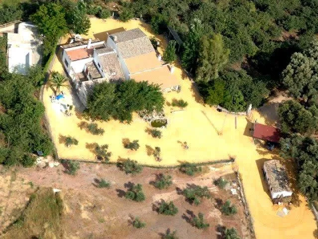 C.R. HUERTA DE LAS PALOMAS en CARCABUEY — foto 1 de 12