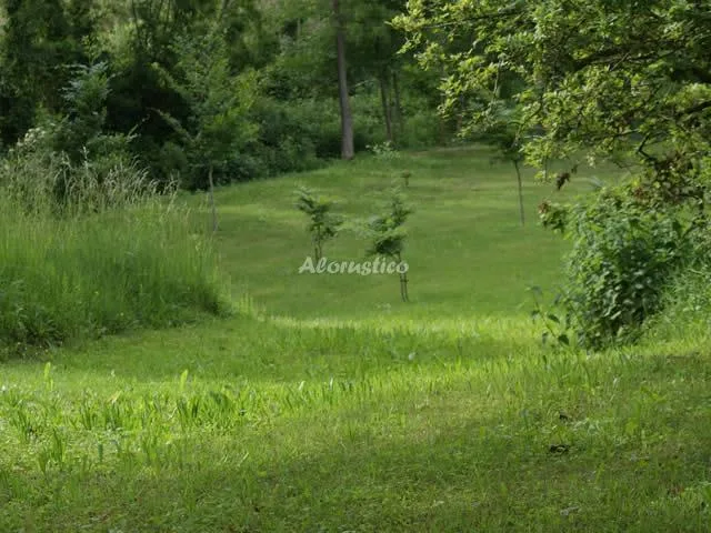 MAS PRAT - EL PALLER (PLANTA BAJA) en LA VALL DE BIANYA — miniatura 8