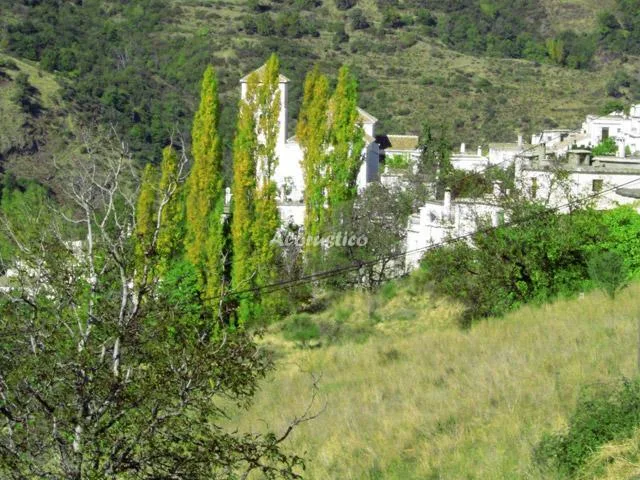 Alojamiento turístico APARTAMENTO CASTAÑO en BUBIÓN · GRANADA