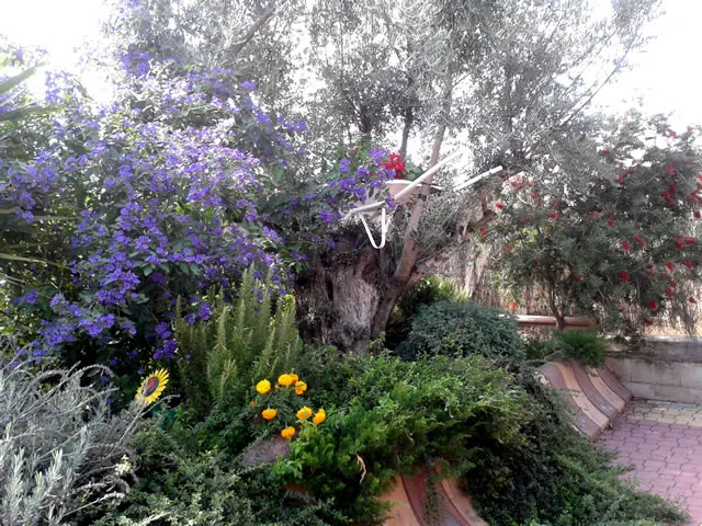 CORTIJO JERÓNIMO en DURCAL — miniatura 5