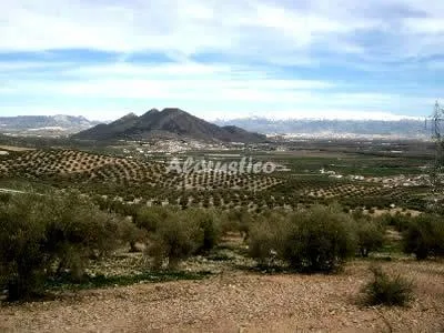 Alojamiento turístico CASA BUENA VISTA ILLORA en ÍLLORA · GRANADA
